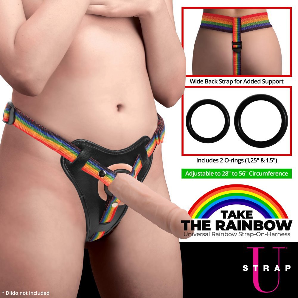 1HyfmDUvfvQlk09NTrhn9K0gcsWStKHF.jpg Take the Rainbow Universal Harness - Image 1