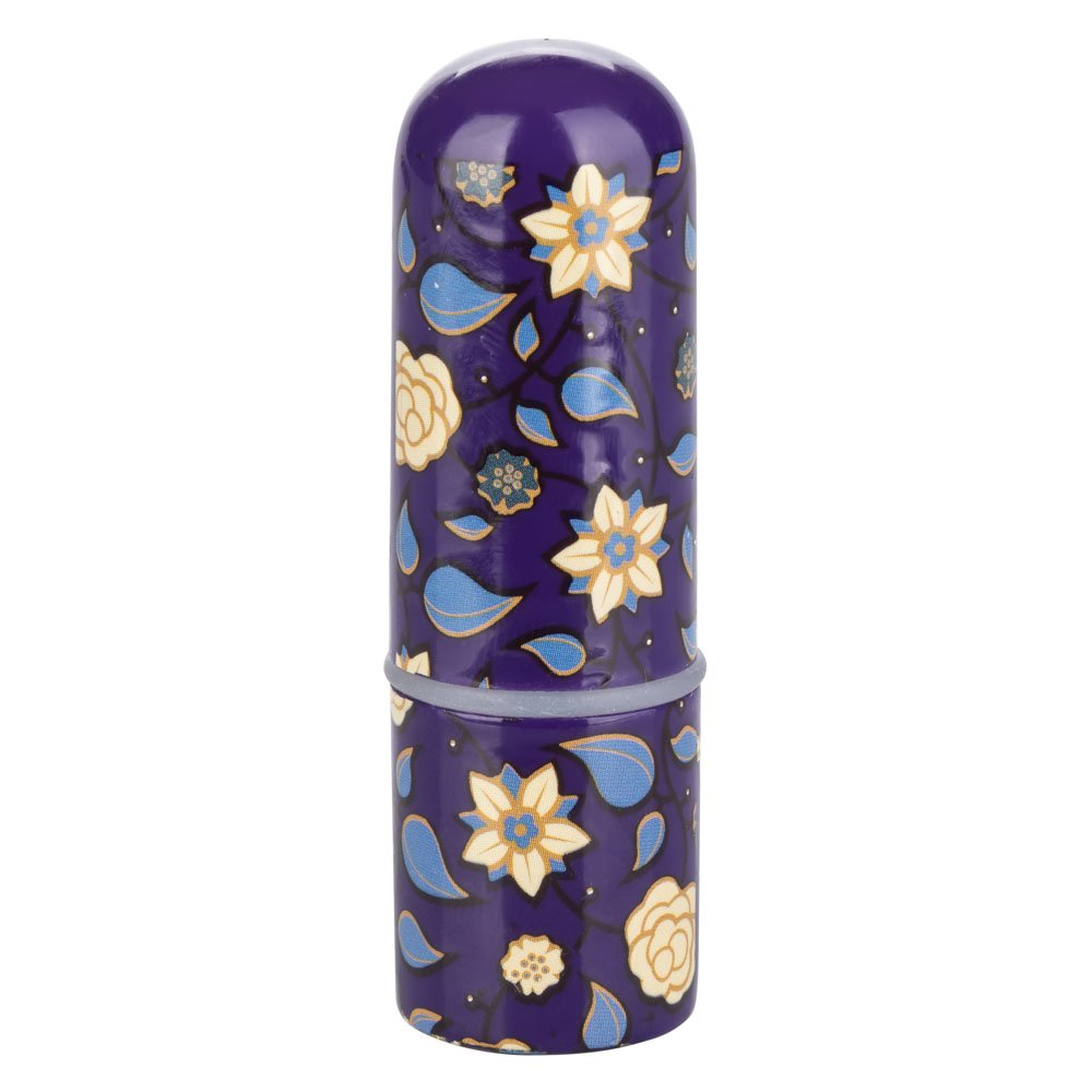 rZmlqJcCMwrrR8mEP2SZIOVtiMI7joZC.jpg Naughty Bits Just the Tip Bullet Vibrator - Image 1