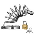 Asylum 6 Ring Locking Chastity Cage  - Medium/large