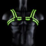 Bonded Leather Buckle Harness - Large/xlarge - Glow in the Dark