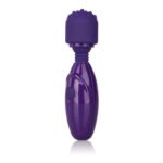Tiny Teasers Nubby Vibrator – Purple - Image 5