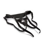 Her Royal Harness the Queen - Boxed - Image 2