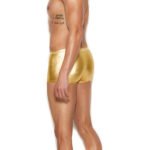 Men's Gold Lame Boxer Brief - Small/medium - Gold