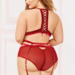 Applique & Mesh Bra Set - 3x4x - Burgundy