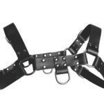 English Bull Dog Harness