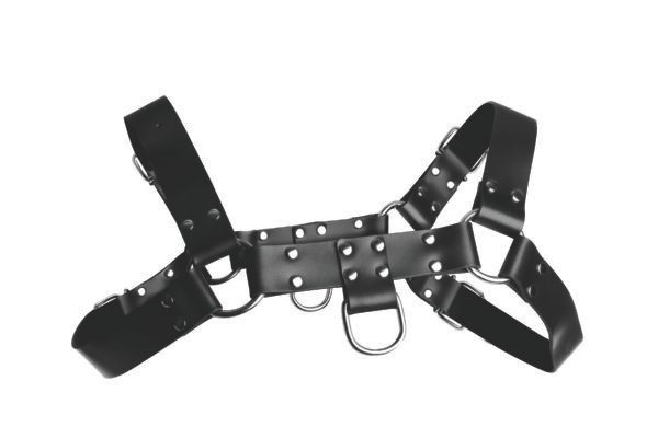 English Bull Dog Harness