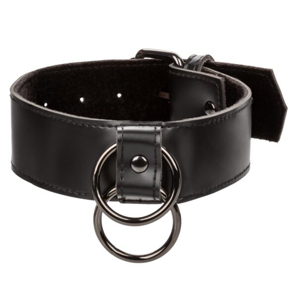 Euphoria Collection Collar With Chain Leash - Black