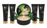 Geisha's Secrets Gift Set - Organica - Exotic Green Tea - Image 5