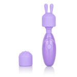 Dr. Laura Berman Olivia Rechargeable Mini Massager With Attachments