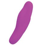 Pretty Love Romance Lisa Magnetic Panty Vibe