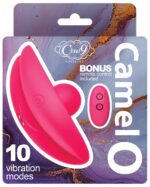Cloud 9 Camel Toe Shaped Rechargeable Vibrator with Remote Control – Pink - Image 2