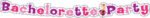 Bachelorette Party Letter Banner - Image 2