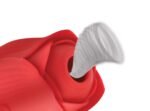 Bloomgasm Romping Rose Suction and Thrusting Vibrator – Red - Image 4