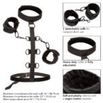 CalExotics Boundless Collar Body Restraint – Black - Image 5