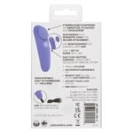 CalExotics Connect Panty Teaser App-Controlled Vibrator – Periwinkle - Image 3