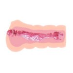 Crazy Bull Vagina Masturbator - Image 2