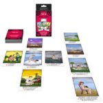 Sex Fortunes Card Game - Image 2