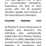 Playboy Pleasure - Thumper - Rabbit Vibrator - Wild Aster