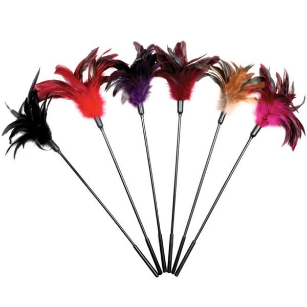 Starburst 6pc Combo S