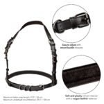 Euphoria Collection Halter Buckle Harness - Black - Image 4