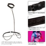 Euphoria Collection Plus Size Chain Halter/collar and Leash - Black - Image 3