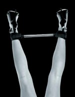 Fetish Fantasy Series Limited Edition Spreader Bar - Image 2