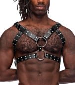 Gemini Leather Harness – Black, One Size - Image 3