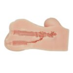 Hannah the Realistic Vagina Masturbator - Light - Image 3