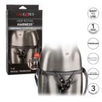 Her Royal Harness the Regal Princess - Pewter - Image 7