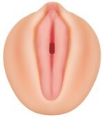 Alexis Texas Movie Download With Realistic Vagina Stroker - Image 3