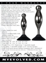 Joy Sticks 2-Piece Anal Plug Set – Black Chrome Aluminum Alloy - Image 9