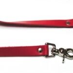 Leather Leash - Red