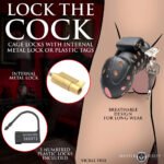 Lock Down Chastity Cage – Black, Four Ring Sizes - Image 3
