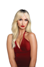 Margot Premium Stylable Wig - Blonde / Black - Image 2