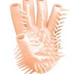 Masturbating  Glove - Flesh