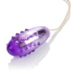 Pleasure Orb Vibrating Egg – Purple - Image 4