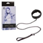 Nocturnal Collection Collar and Leash - Black