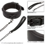 Nocturnal Collection Collar and Leash - Black - Image 4