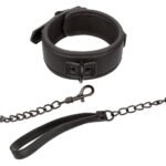 Nocturnal Collection Collar and Leash - Black - Image 6