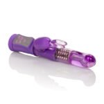 Shanes World Jack Rabbit G - Purple - Image 5