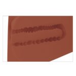 PDX Plus EZ Bang Torso – Brown - Image 6