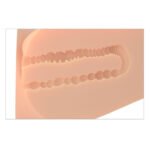PDX Plus EZ Bang Torso – Beige - Image 6