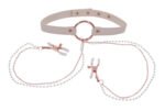 Peaches N Creame Collar With Nipple Clamps - Pink - Image 3