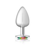 Cheeky Charms Rainbow Round Gem Silver Metal Anal Plug – Large - Image 5