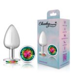 Cheeky Charms Rainbow Round Gem Silver Metal Anal Plug – Large - Image 6