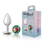 Cheeky Charms Rainbow Round Gem Silver Metal Anal Plug – Small - Image 6