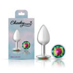 Cheeky Charms Rainbow Round Gem Silver Metal Anal Plug – Small - Image 8
