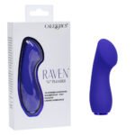 Raven G Pleaser - Purple - Image 2
