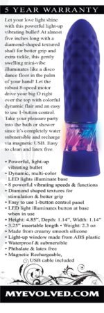 Raver Purple Rechargeable Vibrating Bullet with Light-Up Base - Image 6