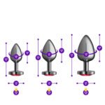Red Heart Gem Anal Trainer Kit - Gunmetal
